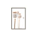 Picture of About to Bloom  _GroupedProduct_Rectangle_Portrait_Photography _GroupedProduct_Rectangle_Portrait_Canvas_Framed_