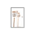 Picture of About to Bloom  _GroupedProduct_Rectangle_Portrait_Photography _GroupedProduct_Rectangle_Portrait_Canvas_Framed_