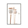 Picture of About to Bloom  _GroupedProduct_Rectangle_Portrait_Photography _GroupedProduct_Rectangle_Portrait_Canvas_Framed_