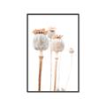 Picture of About to Bloom  _GroupedProduct_Rectangle_Portrait_Photography _GroupedProduct_Rectangle_Portrait_Canvas_Framed_