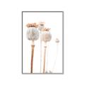Picture of About to Bloom  _GroupedProduct_Rectangle_Portrait_Photography _GroupedProduct_Rectangle_Portrait_Canvas_Framed_