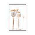Picture of About to Bloom  _GroupedProduct_Rectangle_Portrait_Photography _GroupedProduct_Rectangle_Portrait_Canvas_Framed_