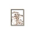 Picture of Angelica Plant _GroupedProduct_Rectangle_Portrait_Canvas_Framed_