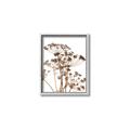 Picture of Angelica Plant _GroupedProduct_Rectangle_Portrait_Canvas_Framed_
