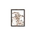 Picture of Angelica Plant _GroupedProduct_Rectangle_Portrait_Canvas_Framed_