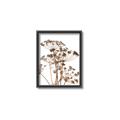 Picture of Angelica Plant _GroupedProduct_Rectangle_Portrait_Canvas_Framed_