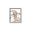 Picture of Angelica Plant _GroupedProduct_Rectangle_Portrait_Canvas_Framed_