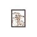 Picture of Angelica Plant _GroupedProduct_Rectangle_Portrait_Canvas_Framed_