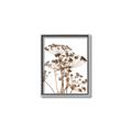 Picture of Angelica Plant _GroupedProduct_Rectangle_Portrait_Canvas_Framed_