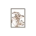 Picture of Angelica Plant _GroupedProduct_Rectangle_Portrait_Canvas_Framed_