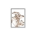 Picture of Angelica Plant _GroupedProduct_Rectangle_Portrait_Canvas_Framed_