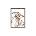 Picture of Angelica Plant _GroupedProduct_Rectangle_Portrait_Canvas_Framed_