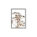 Picture of Angelica Plant _GroupedProduct_Rectangle_Portrait_Canvas_Framed_