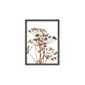 Picture of Angelica Plant _GroupedProduct_Rectangle_Portrait_Canvas_Framed_