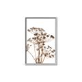 Picture of Angelica Plant _GroupedProduct_Rectangle_Portrait_Canvas_Framed_