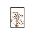 Picture of Angelica Plant _GroupedProduct_Rectangle_Portrait_Canvas_Framed_