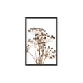 Picture of Angelica Plant _GroupedProduct_Rectangle_Portrait_Canvas_Framed_