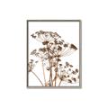 Picture of Angelica Plant _GroupedProduct_Rectangle_Portrait_Canvas_Framed_