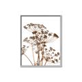 Picture of Angelica Plant _GroupedProduct_Rectangle_Portrait_Canvas_Framed_