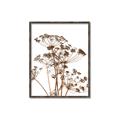 Picture of Angelica Plant _GroupedProduct_Rectangle_Portrait_Canvas_Framed_