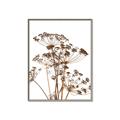 Picture of Angelica Plant _GroupedProduct_Rectangle_Portrait_Canvas_Framed_