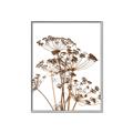 Picture of Angelica Plant _GroupedProduct_Rectangle_Portrait_Canvas_Framed_