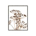 Picture of Angelica Plant _GroupedProduct_Rectangle_Portrait_Canvas_Framed_