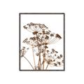 Picture of Angelica Plant _GroupedProduct_Rectangle_Portrait_Canvas_Framed_