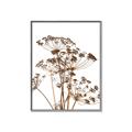 Picture of Angelica Plant _GroupedProduct_Rectangle_Portrait_Canvas_Framed_