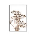 Picture of Angelica Plant _GroupedProduct_Rectangle_Portrait_Canvas_Framed_