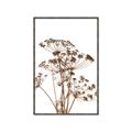 Picture of Angelica Plant _GroupedProduct_Rectangle_Portrait_Canvas_Framed_