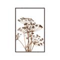 Picture of Angelica Plant _GroupedProduct_Rectangle_Portrait_Canvas_Framed_
