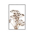 Picture of Angelica Plant _GroupedProduct_Rectangle_Portrait_Canvas_Framed_
