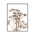 Picture of Angelica Plant _GroupedProduct_Rectangle_Portrait_Canvas_Framed_