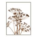 Picture of Angelica Plant _GroupedProduct_Rectangle_Portrait_Canvas_Framed_