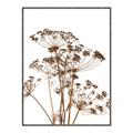 Picture of Angelica Plant _GroupedProduct_Rectangle_Portrait_Canvas_Framed_