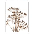 Picture of Angelica Plant _GroupedProduct_Rectangle_Portrait_Canvas_Framed_