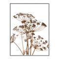 Picture of Angelica Plant _GroupedProduct_Rectangle_Portrait_Canvas_Framed_