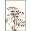 Picture of Angelica Plant _GroupedProduct_Rectangle_Portrait_Canvas_Framed_
