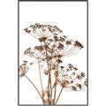 Picture of Angelica Plant _GroupedProduct_Rectangle_Portrait_Canvas_Framed_