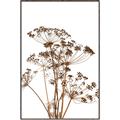 Picture of Angelica Plant _GroupedProduct_Rectangle_Portrait_Canvas_Framed_