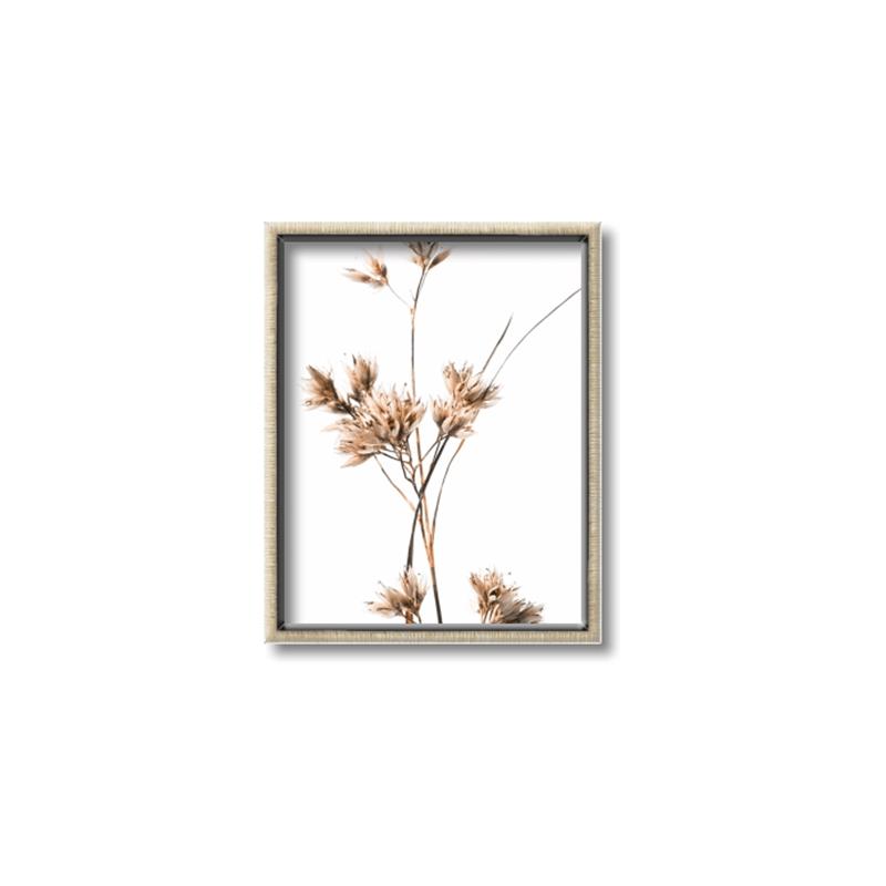 Picture of Aster Flower  _GroupedProduct_Rectangle_Portrait_Photography _GroupedProduct_Rectangle_Portrait_Canvas_Framed_