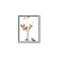 Picture of Aster Flower  _GroupedProduct_Rectangle_Portrait_Photography _GroupedProduct_Rectangle_Portrait_Canvas_Framed_