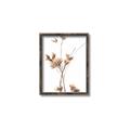 Picture of Aster Flower  _GroupedProduct_Rectangle_Portrait_Photography _GroupedProduct_Rectangle_Portrait_Canvas_Framed_
