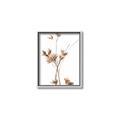 Picture of Aster Flower  _GroupedProduct_Rectangle_Portrait_Photography _GroupedProduct_Rectangle_Portrait_Canvas_Framed_