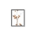 Picture of Aster Flower  _GroupedProduct_Rectangle_Portrait_Photography _GroupedProduct_Rectangle_Portrait_Canvas_Framed_