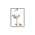 Picture of Aster Flower  _GroupedProduct_Rectangle_Portrait_Photography _GroupedProduct_Rectangle_Portrait_Canvas_Framed_