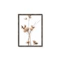 Picture of Aster Flower  _GroupedProduct_Rectangle_Portrait_Photography _GroupedProduct_Rectangle_Portrait_Canvas_Framed_