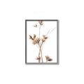 Picture of Aster Flower  _GroupedProduct_Rectangle_Portrait_Photography _GroupedProduct_Rectangle_Portrait_Canvas_Framed_