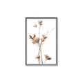 Picture of Aster Flower  _GroupedProduct_Rectangle_Portrait_Photography _GroupedProduct_Rectangle_Portrait_Canvas_Framed_